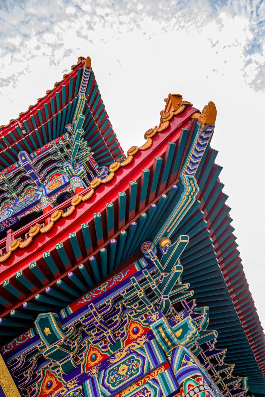 3Z8A7372.jpg 图片
