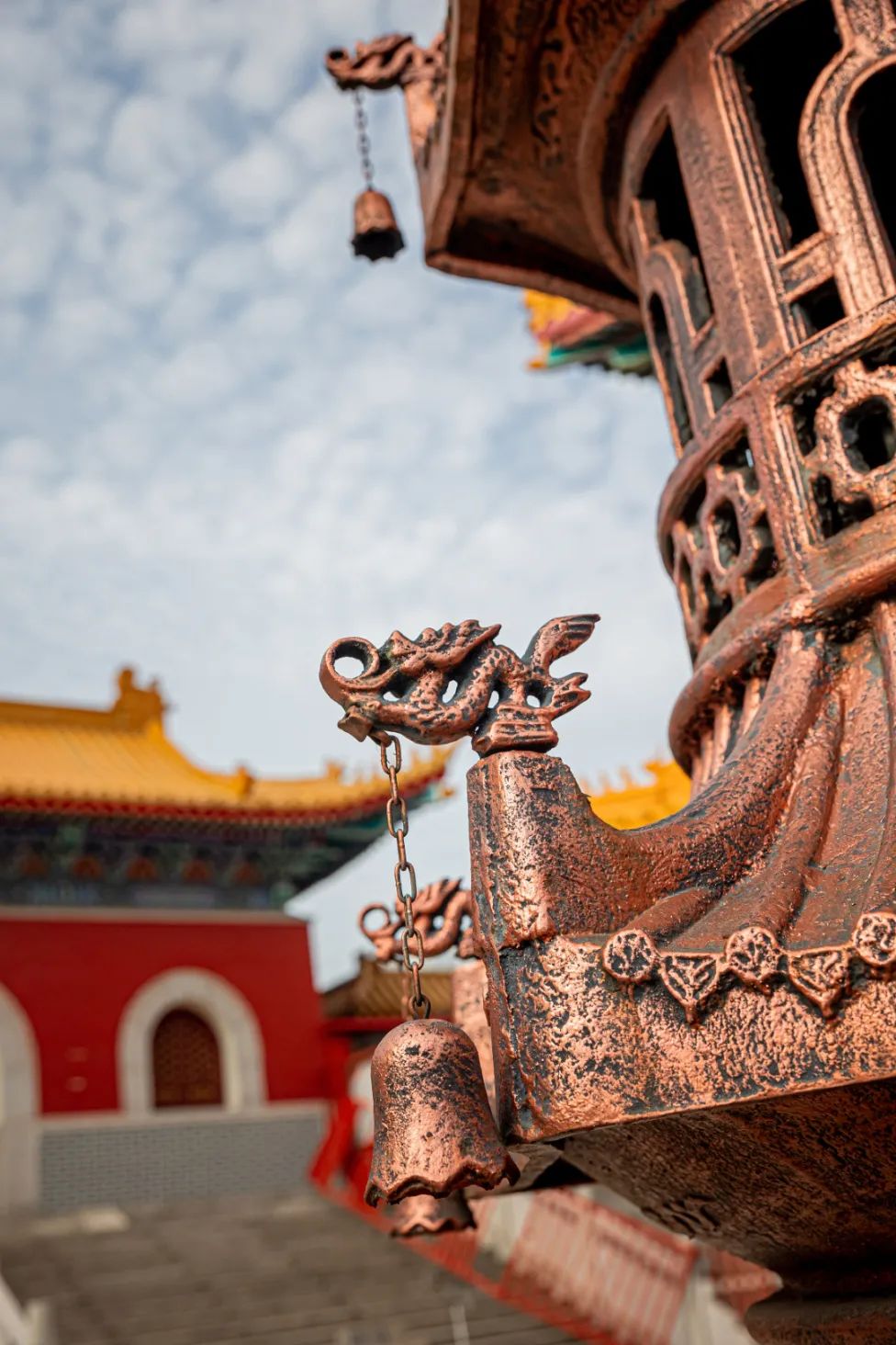 3Z8A7390.jpg 图片