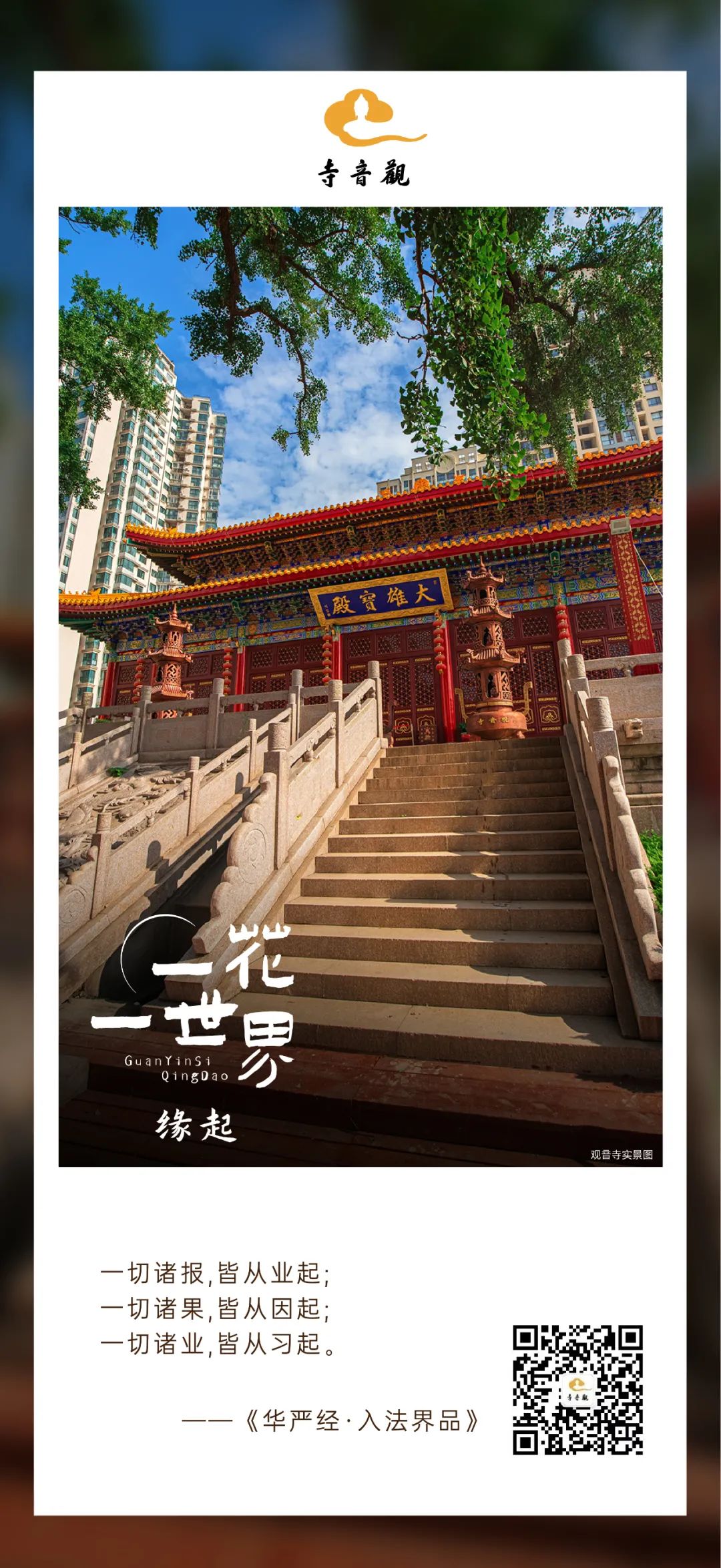 一花一世界丨缘起.jpg