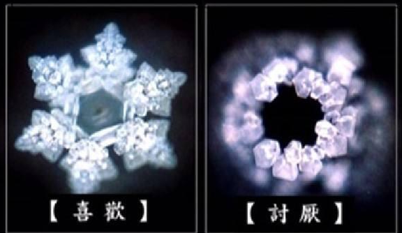 微信图片_20220701174919.png