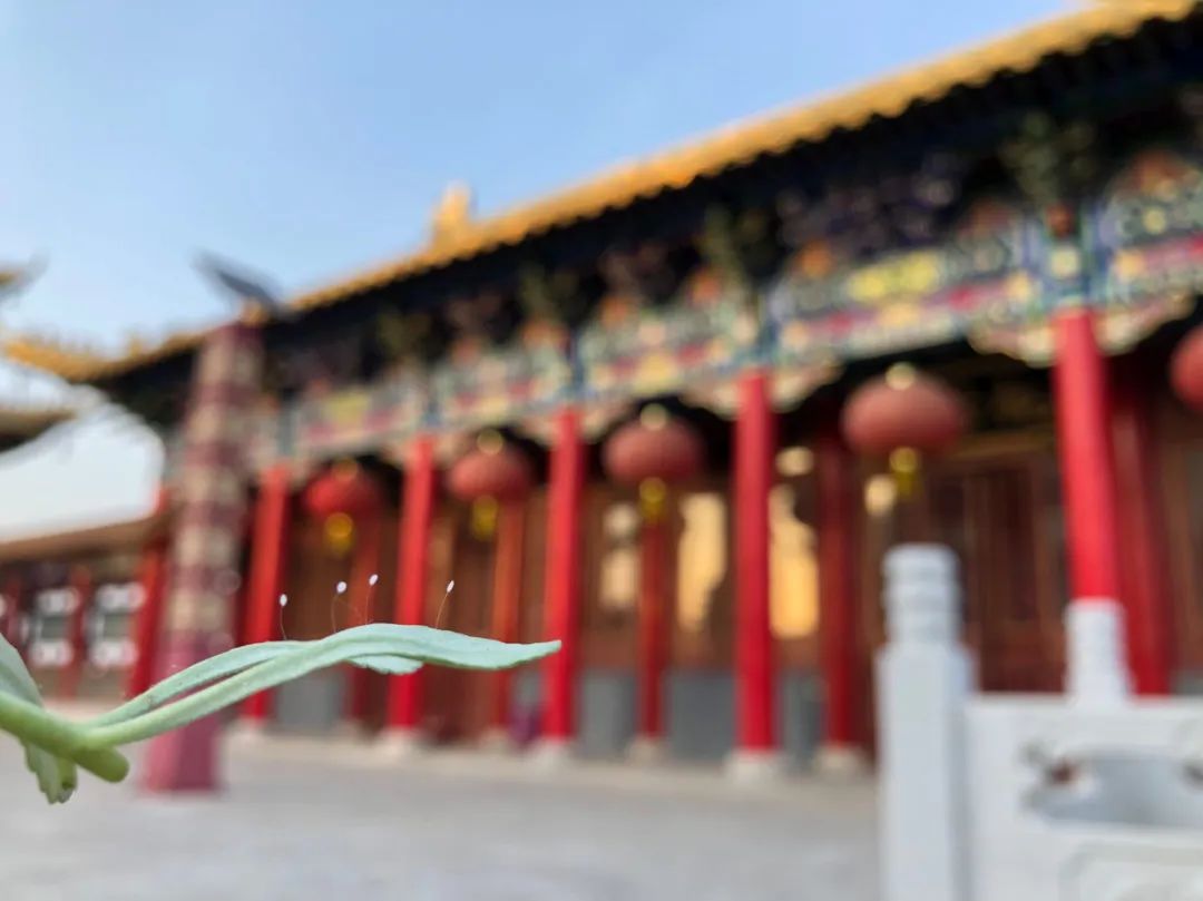 微信图片_20220823154631.jpg