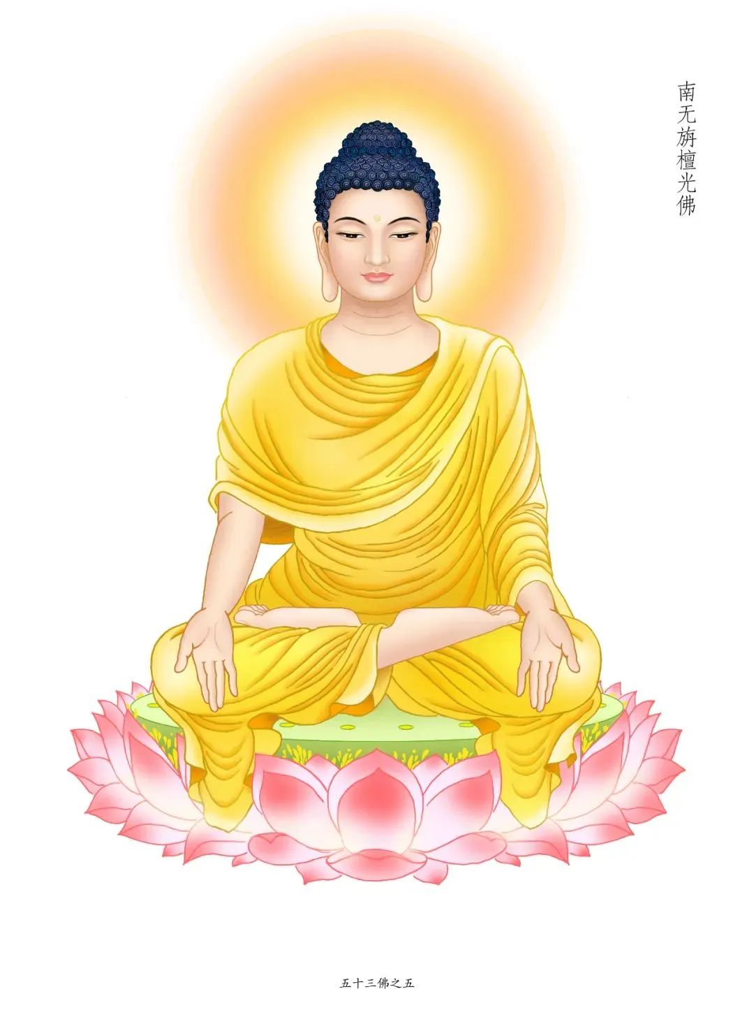 5.jpg 图片