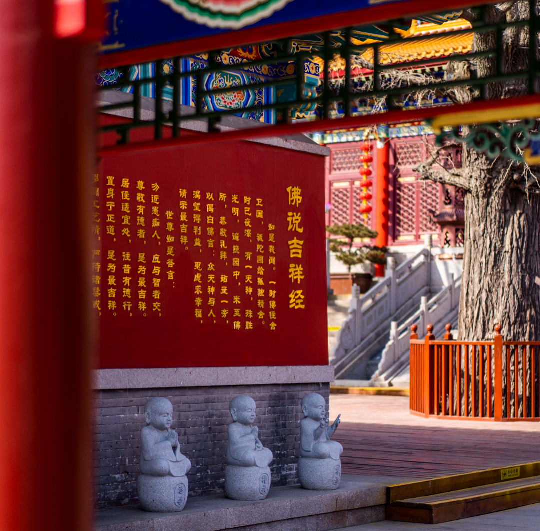 微信图片_20230320202947.jpg 图片