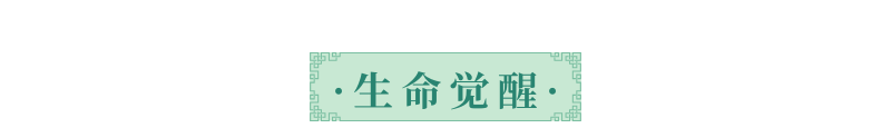 青白色清新水墨春天惊蛰节气信息图表-4.png