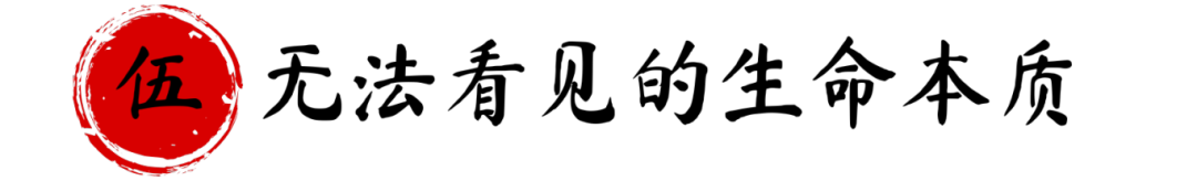モトヤ古印体.png