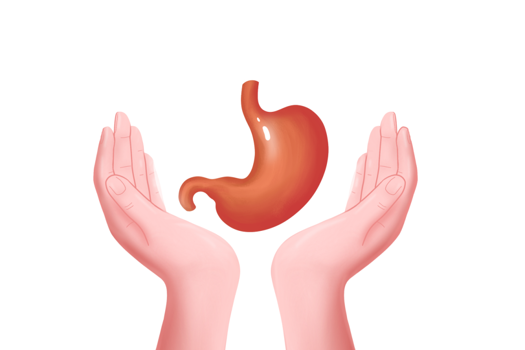 摄图网_401908167_双手保护胃(非企业商用).png