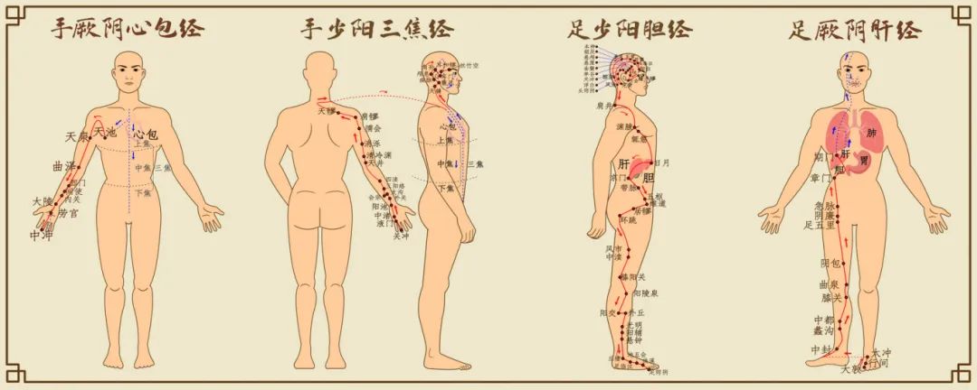 摄图网_401866251_十二经脉中医经络图三(非企业商用).jpg