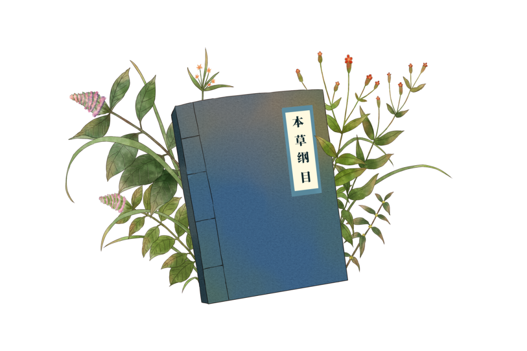 摄图网_401906913_本草纲目(非企业商用).png