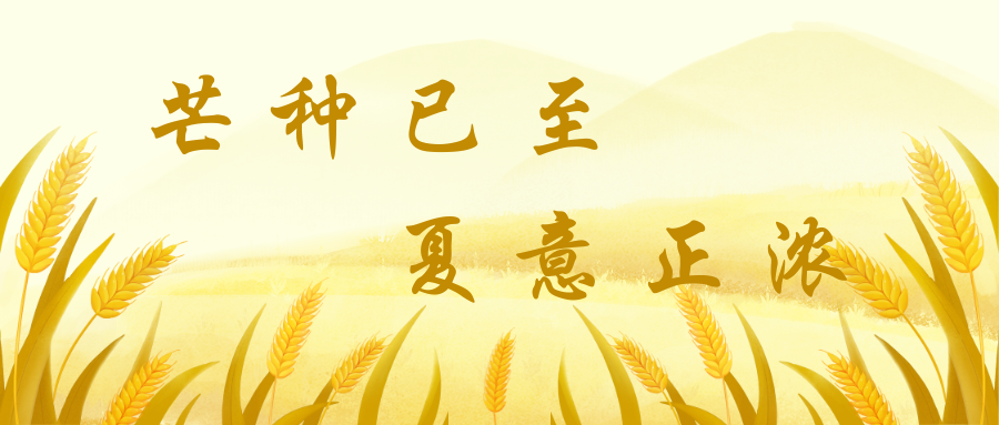 黄色水墨插画芒种节气宣传微信公众号封面  (1).png