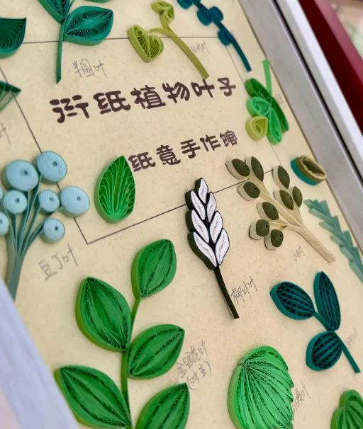 微信图片_20250601203703.jpg