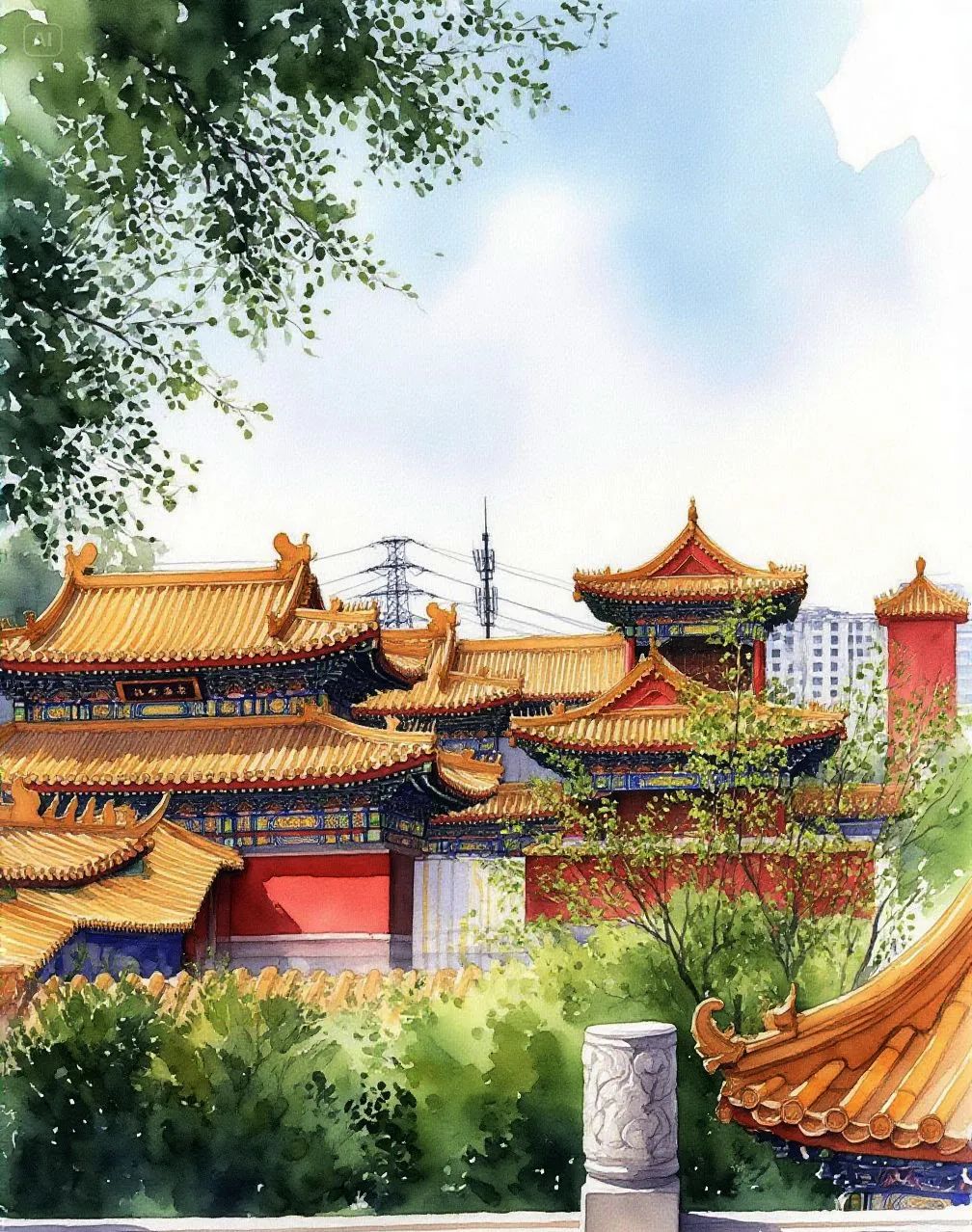 图片