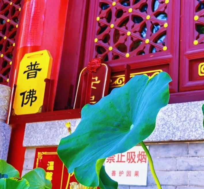 微信图片_20250710195504.jpg