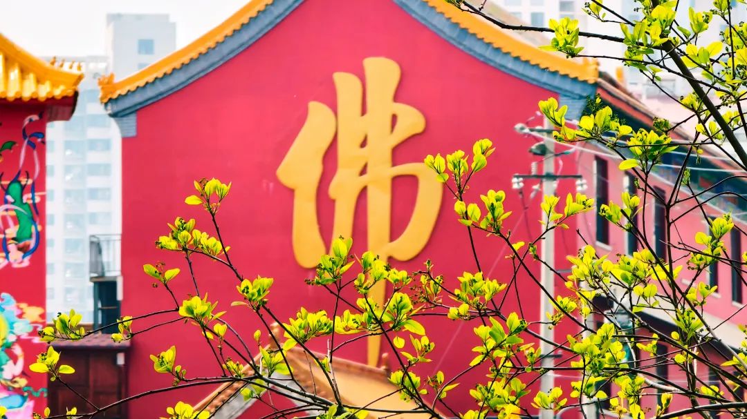 微信图片_20250421195418.jpg